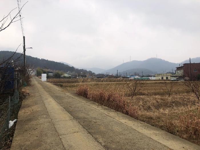 사진 03