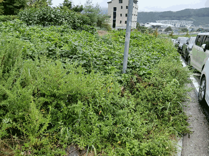 사진 06
