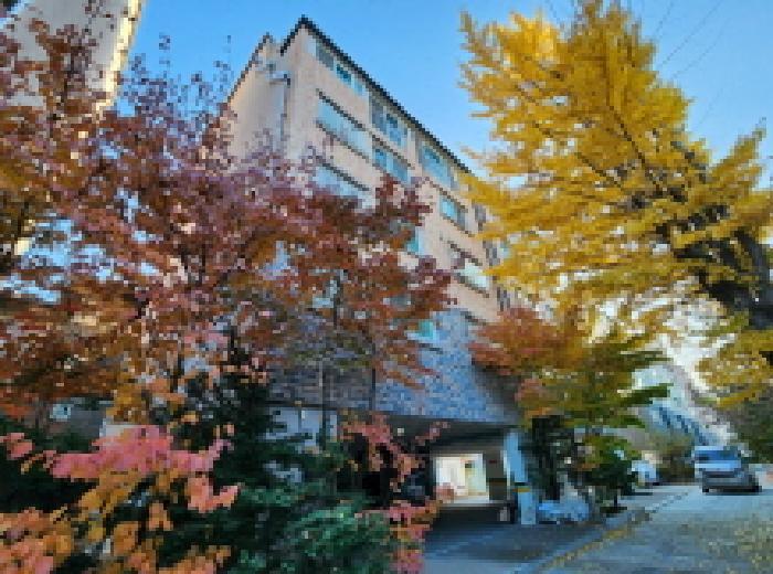 사진 05