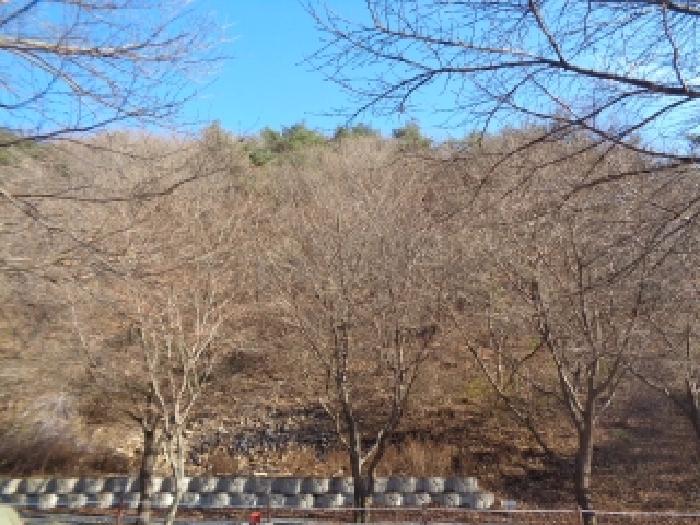 사진 02