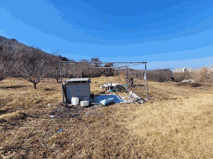 사진 06