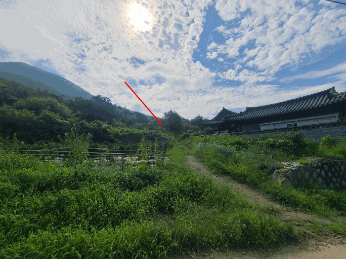 사진 07