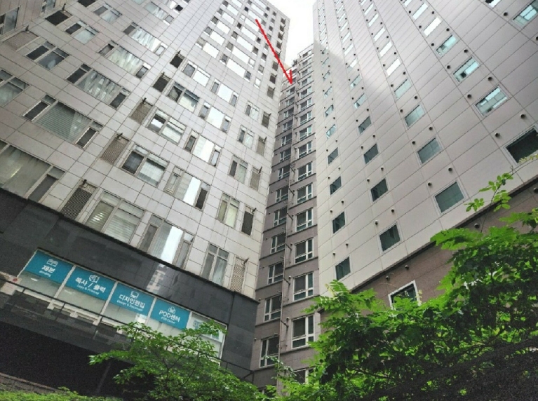 사진 03