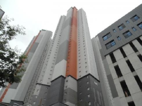 사진 01