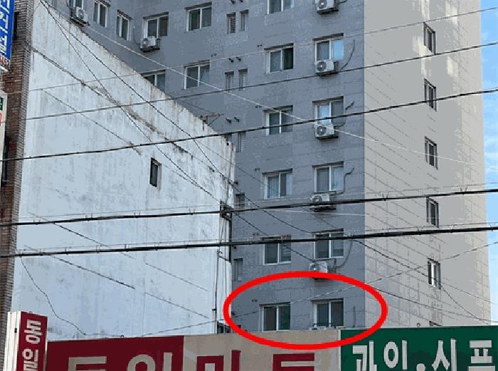 사진 06