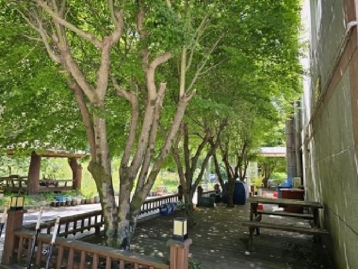 사진 06