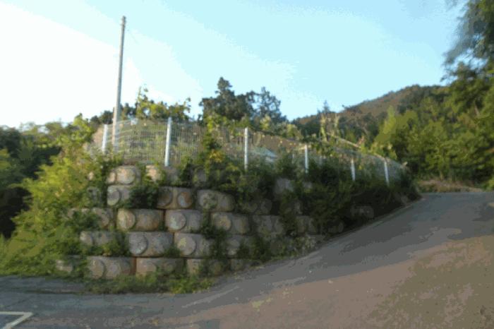 사진 03