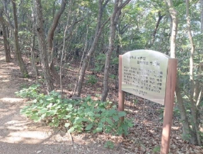 사진 04