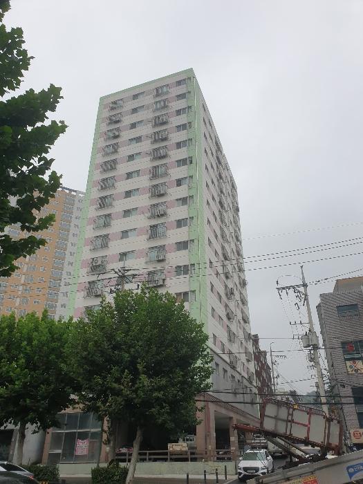 사진 05