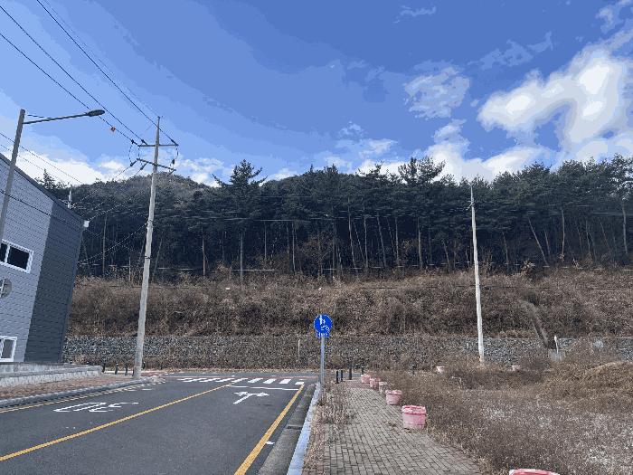 사진 03