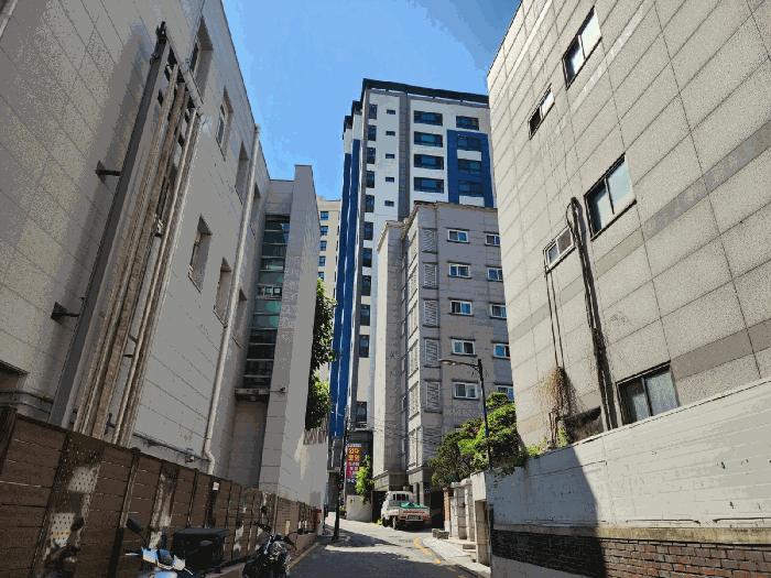 사진 03