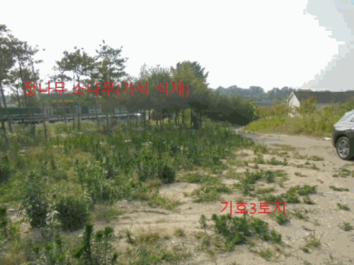 사진 08
