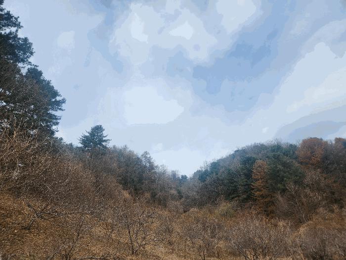 사진 03