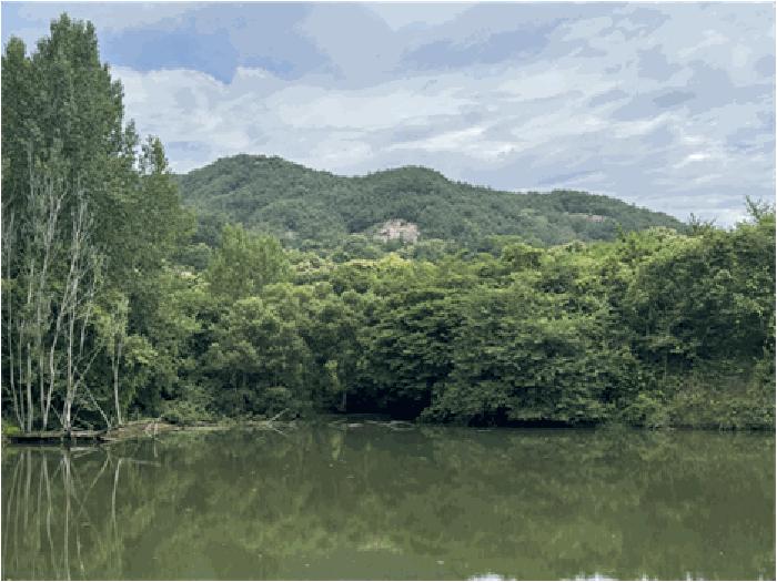 사진 02