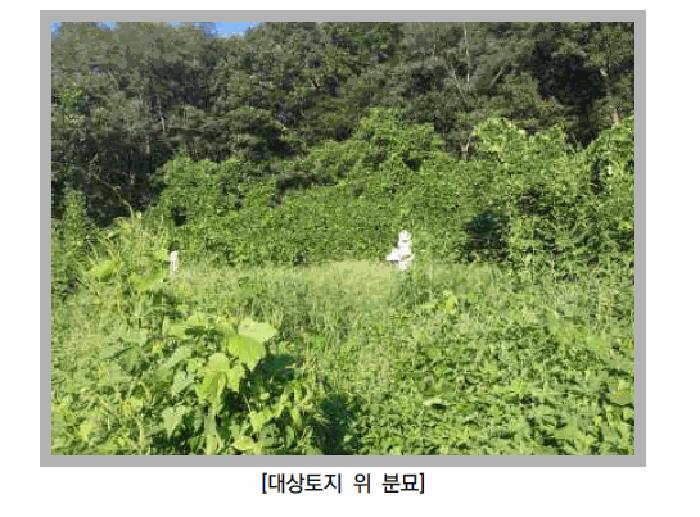 사진 04