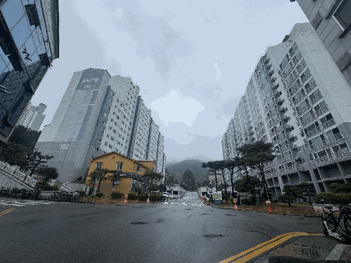 사진 03