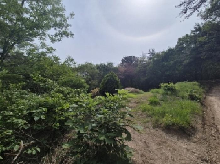 사진 07
