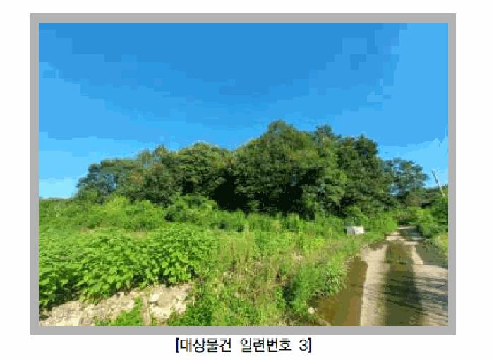사진 03