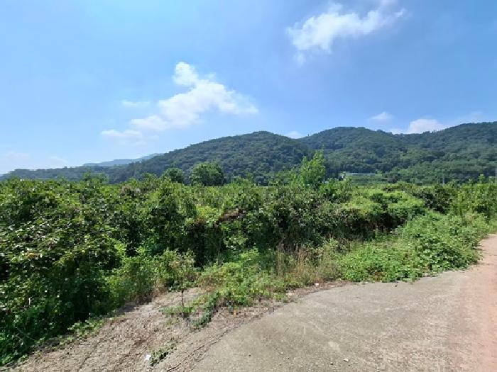 사진 08
