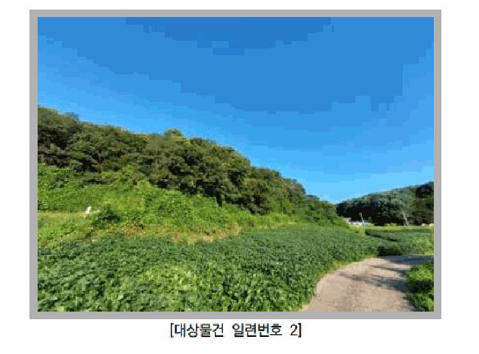 사진 02