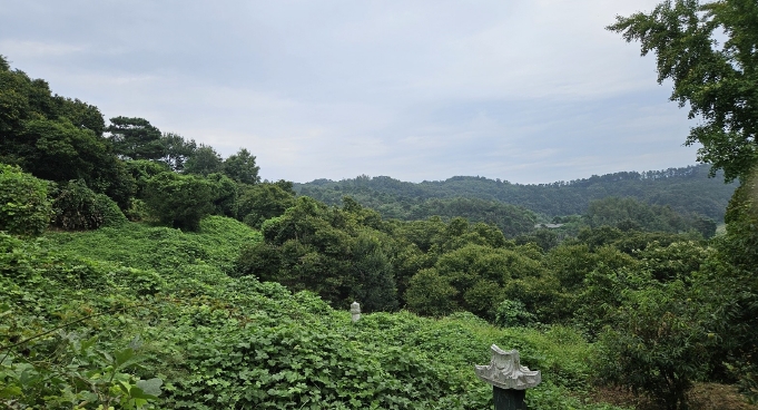 사진 05