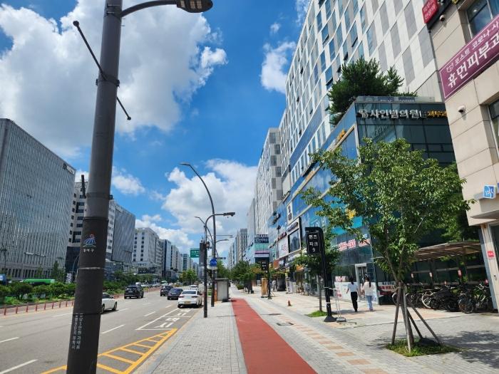 사진 06