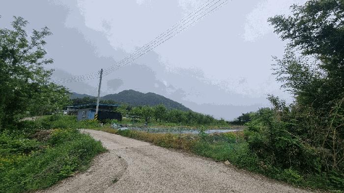 사진 05