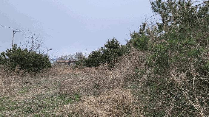 사진 02
