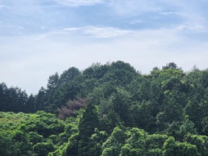 사진 03