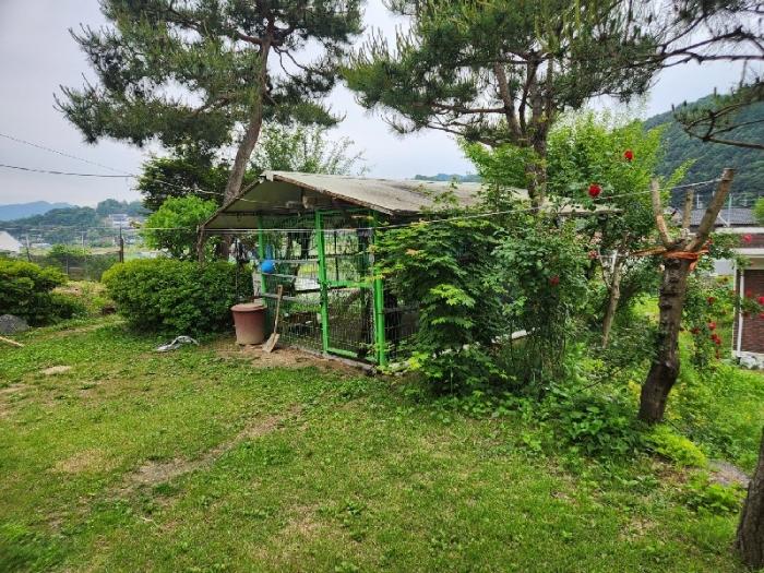 사진 05