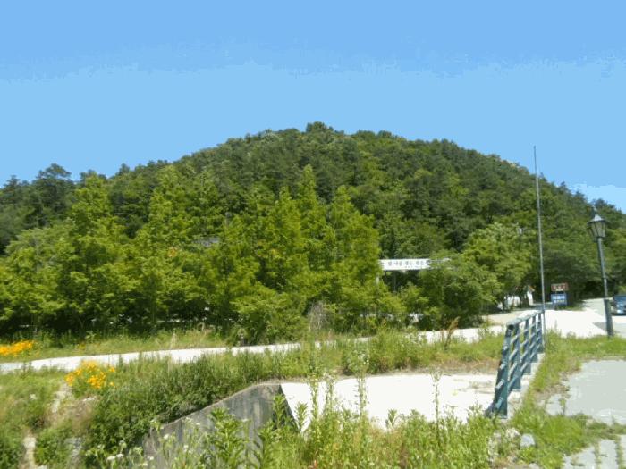 사진 07