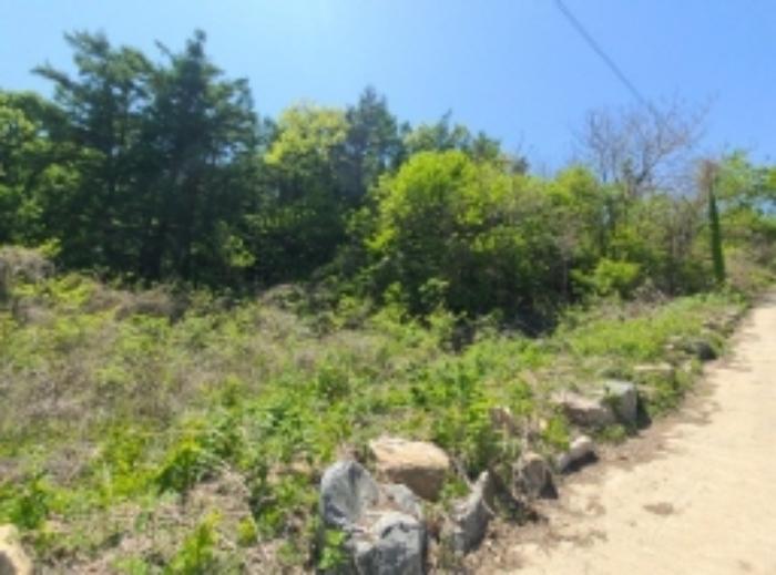 사진 06
