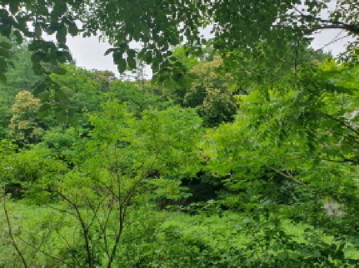 사진 05