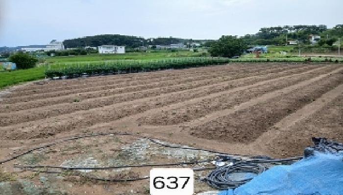 사진 06