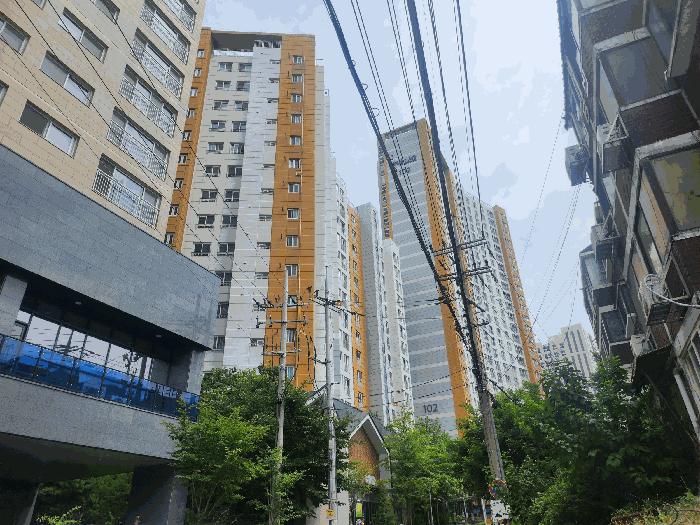 사진 02
