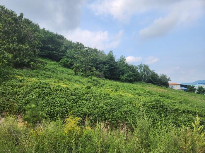 사진 07