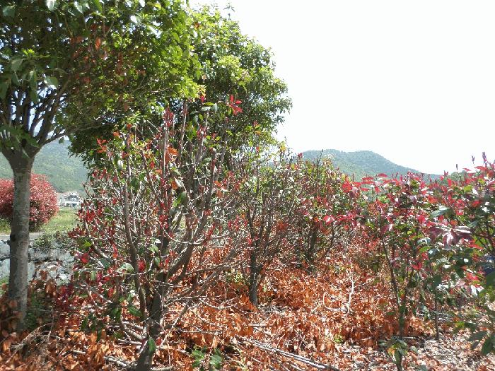 사진 08