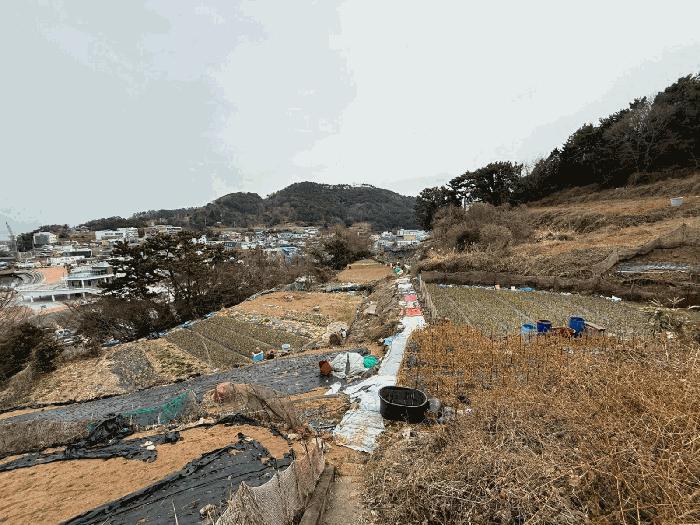 사진 03