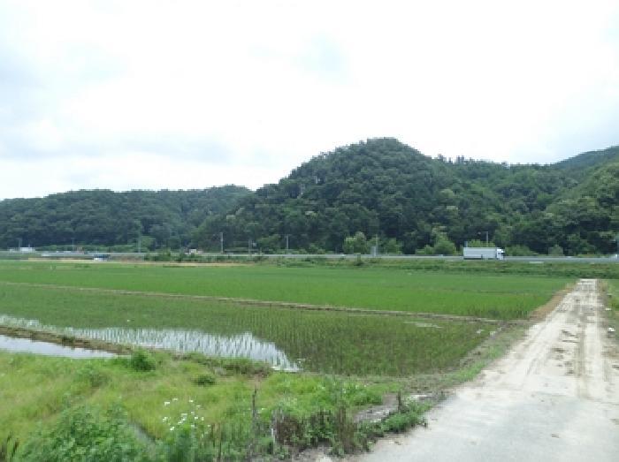 사진 04