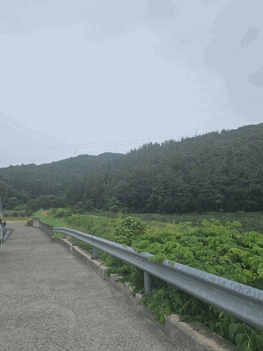 사진 03