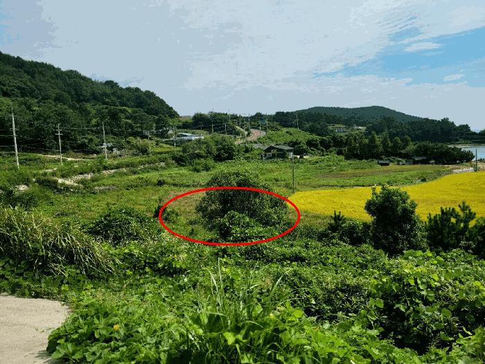 사진 06