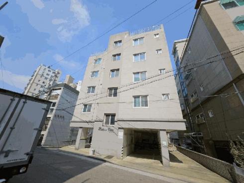 사진 01