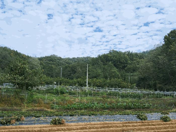 사진 07