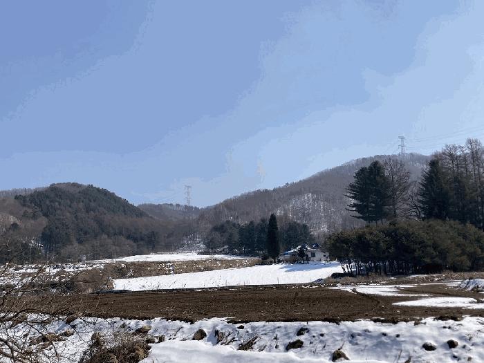 사진 02