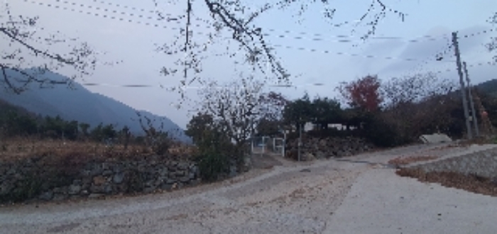 사진 01