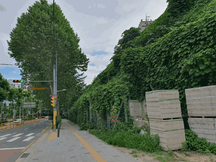 사진 05