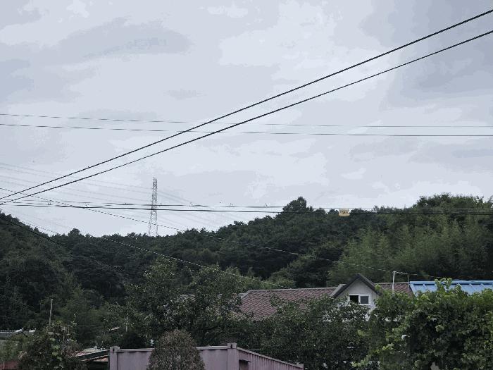 사진 05