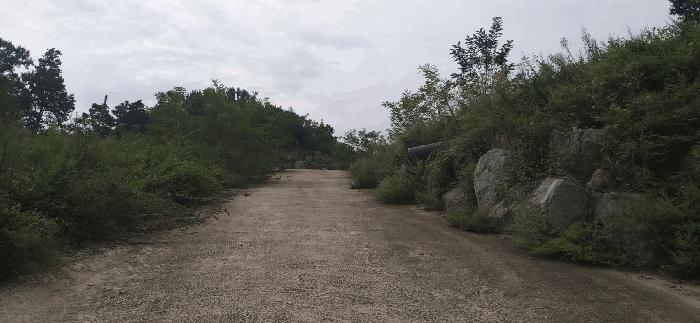 사진 02