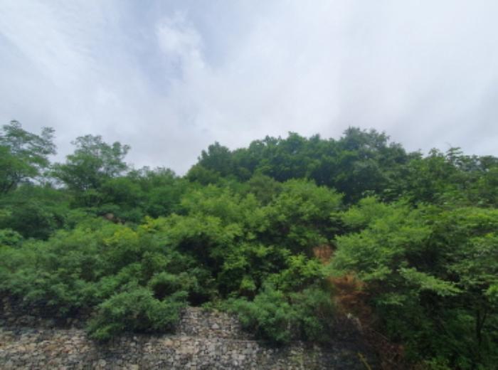 사진 06