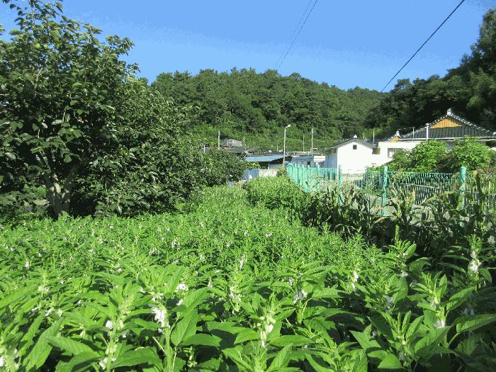 사진 05